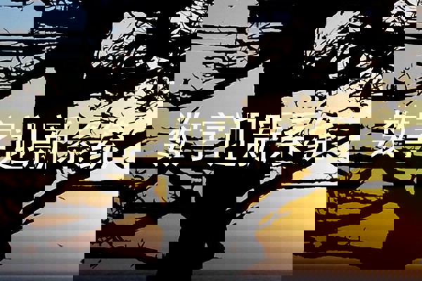 数字迎新系统