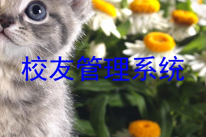 校友管理系统
