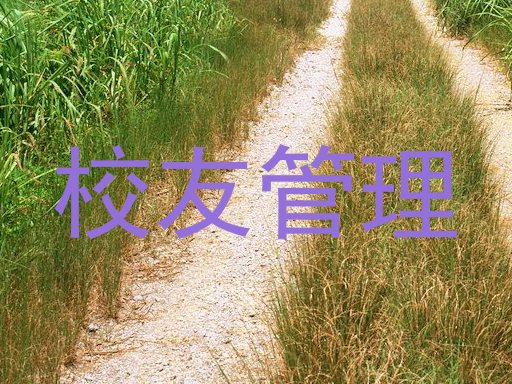 校友管理