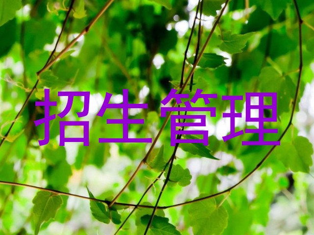 招生管理