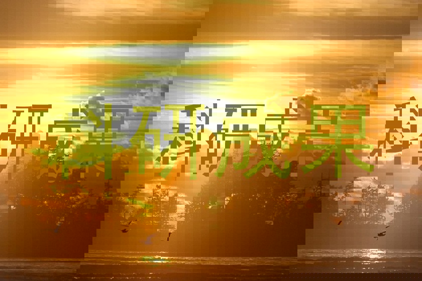 科研成果
