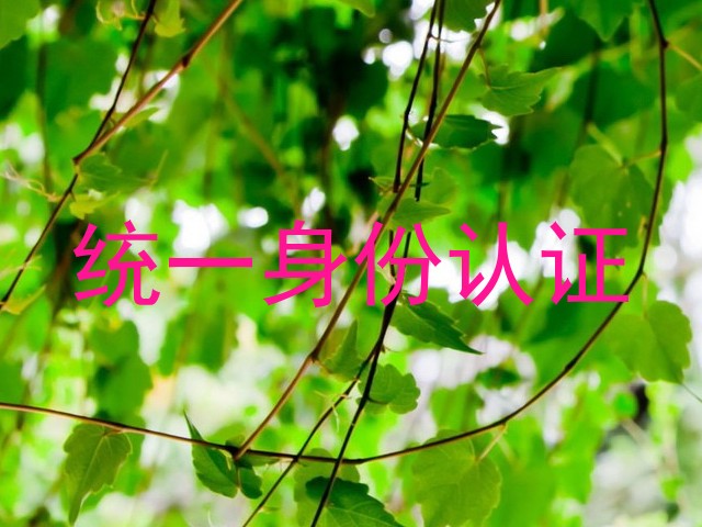 统一身份认证