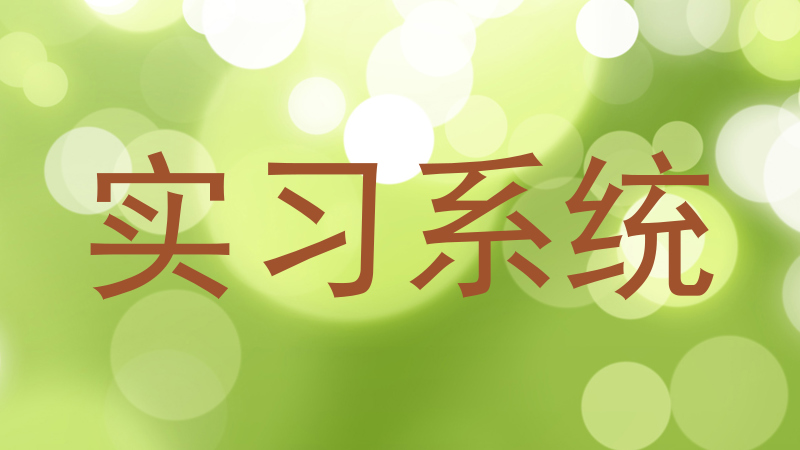 实习系统