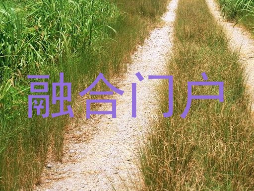 融合门户