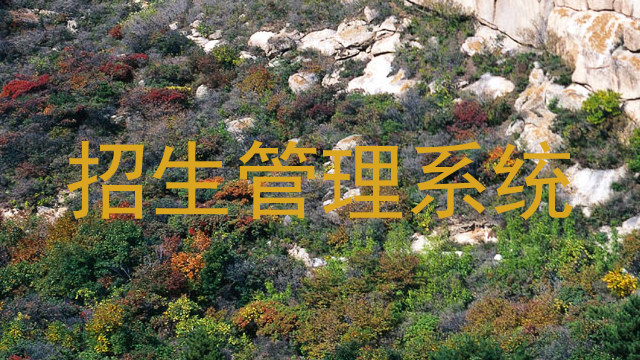 招生管理系统