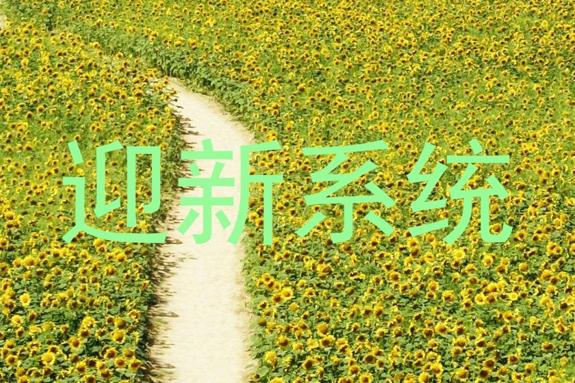 迎新系统