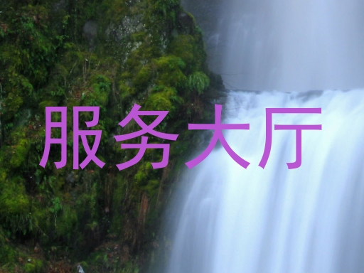 服务大厅