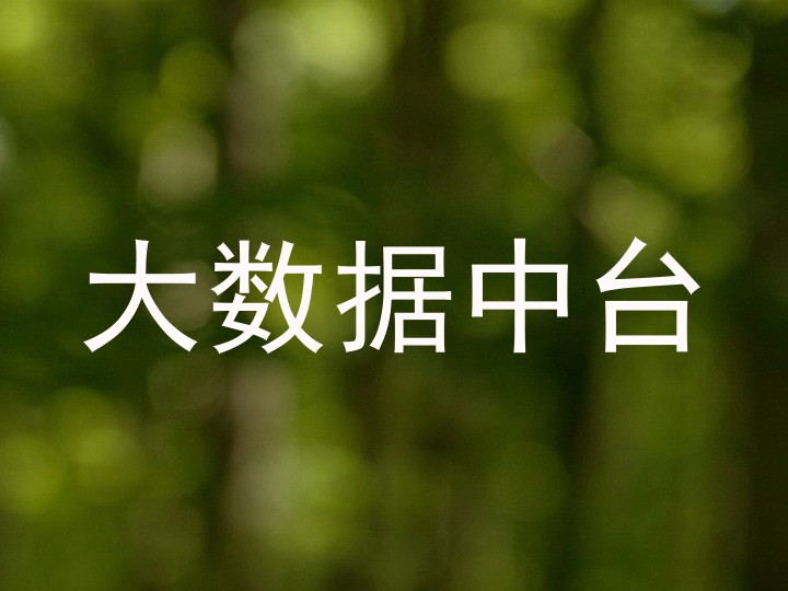 大数据中台