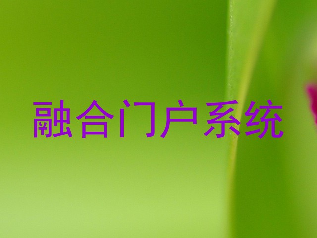 融合门户系统