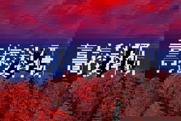 高校科研