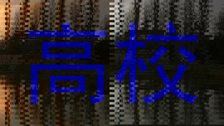 高校
