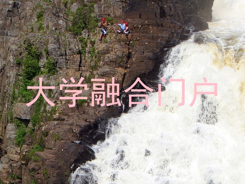 大学融合门户
