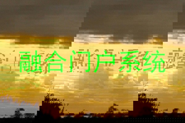 融合门户系统