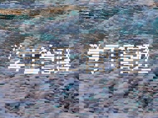 学工管理