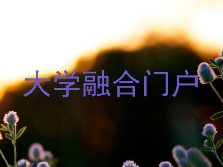 大学融合门户