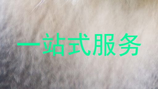一站式服务
