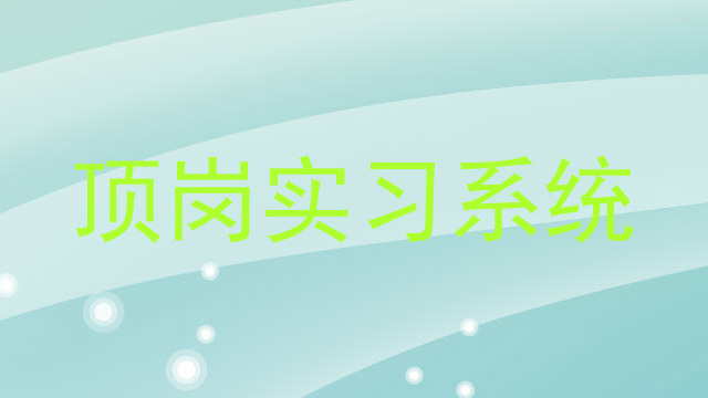 顶岗实习系统