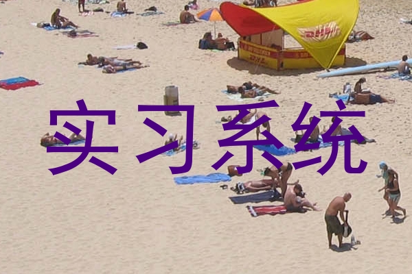 实习系统