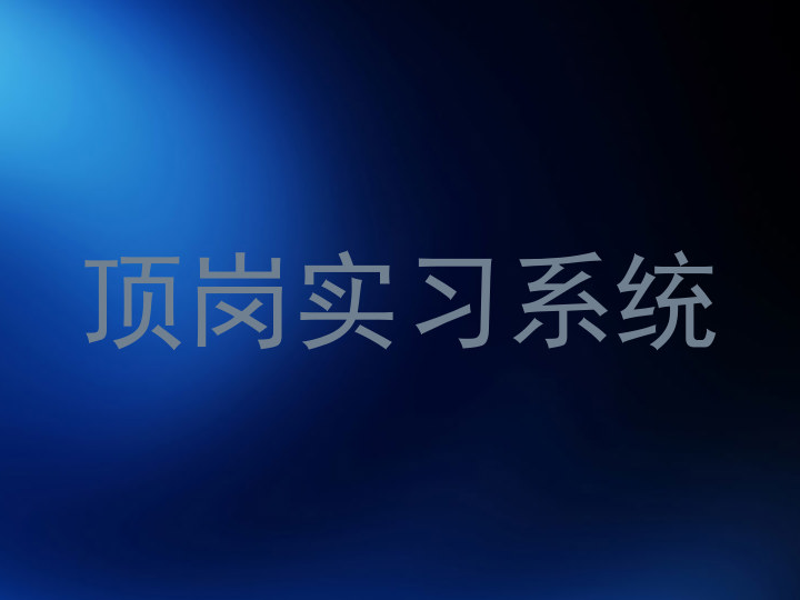 顶岗实习系统