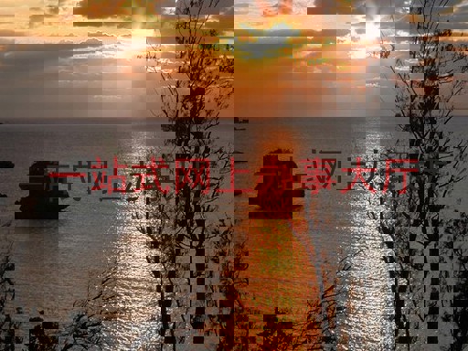 一站式网上办事大厅