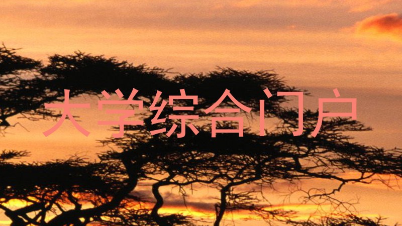 大学综合门户