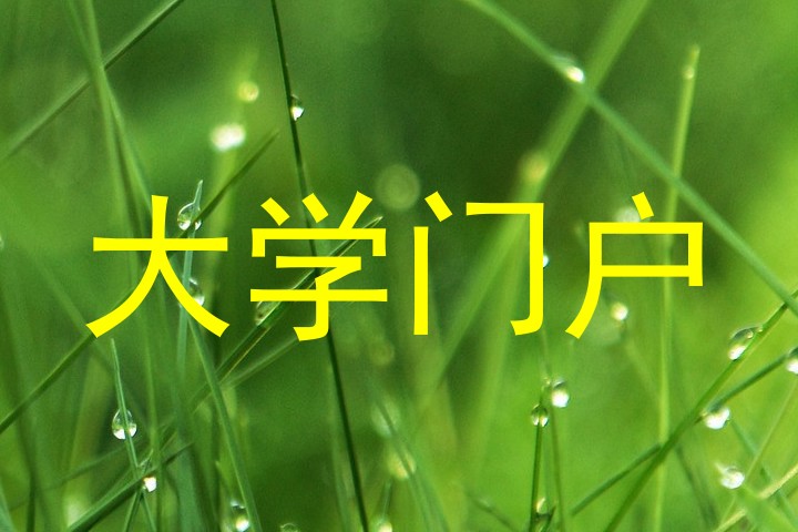 大学门户