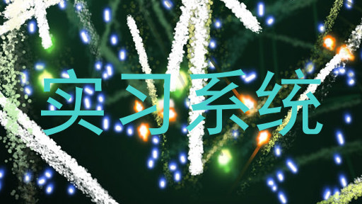 实习系统