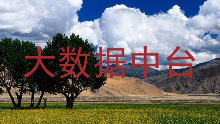 大数据中台