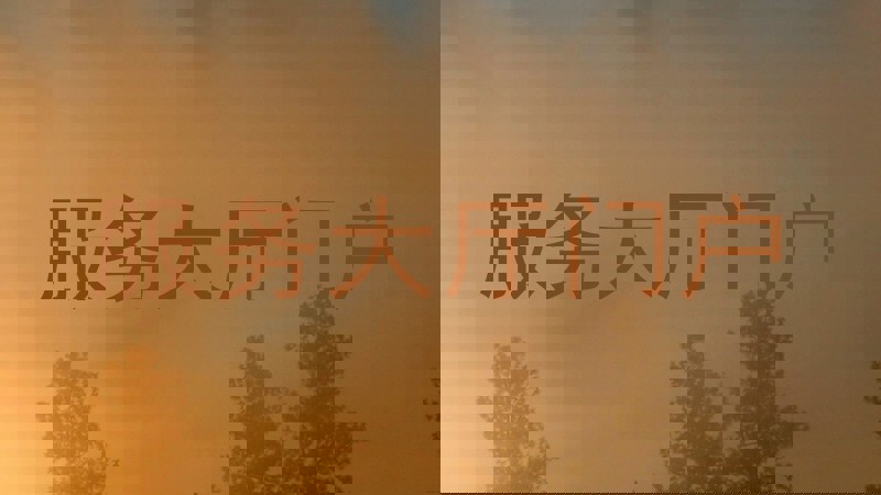 服务大厅门户