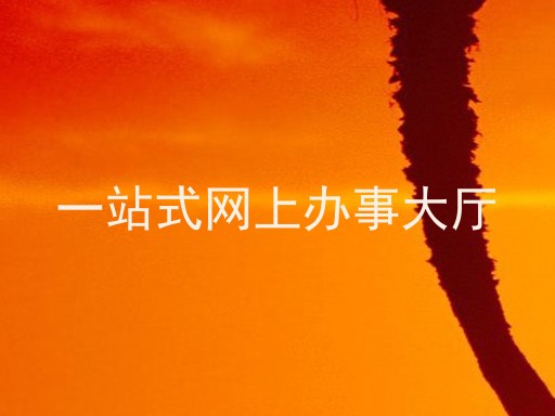 一站式网上办事大厅