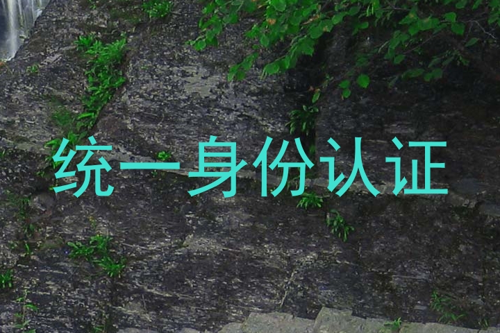 统一身份认证