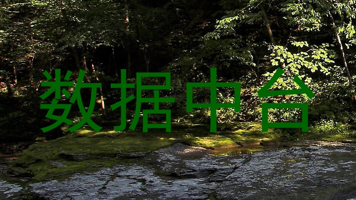 数据中台