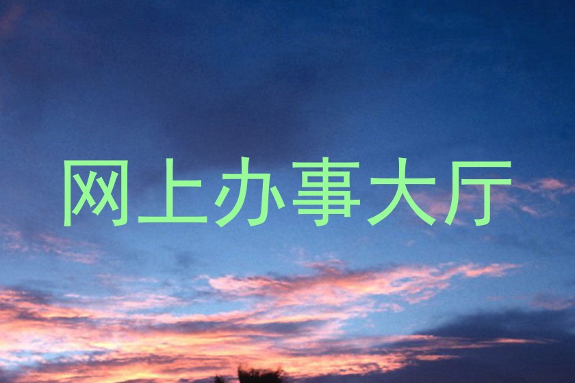网上办事大厅