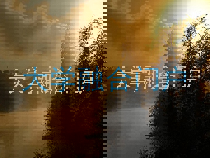 大学融合门户