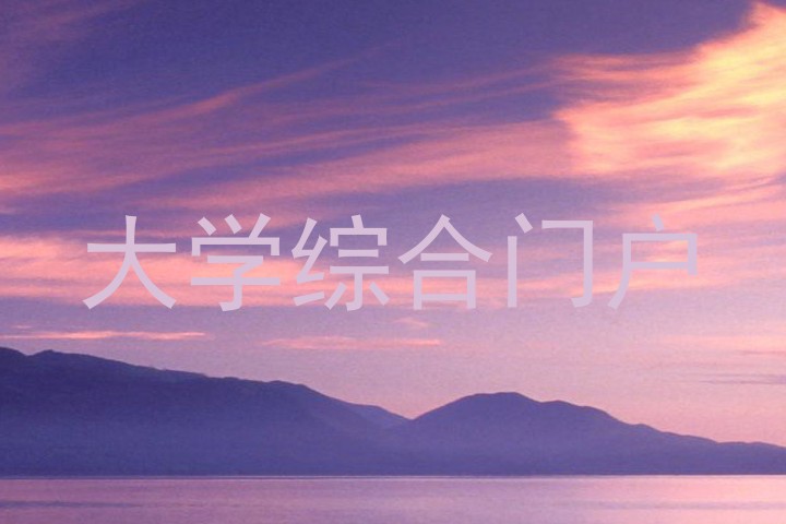大学综合门户