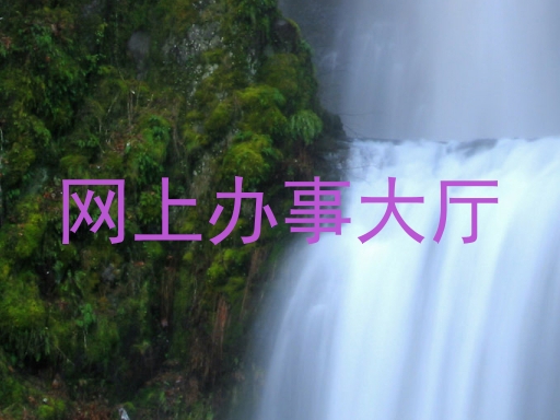 网上办事大厅