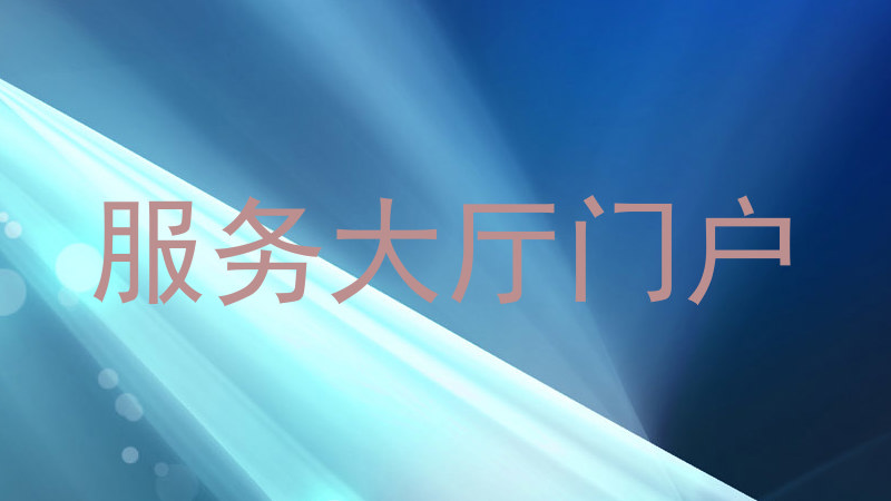 服务大厅门户