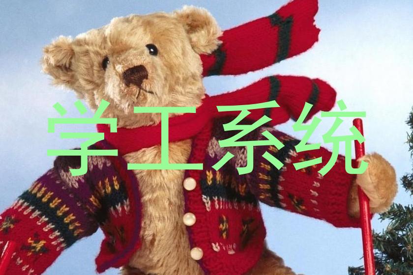 学工系统