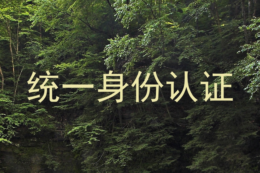 统一身份认证
