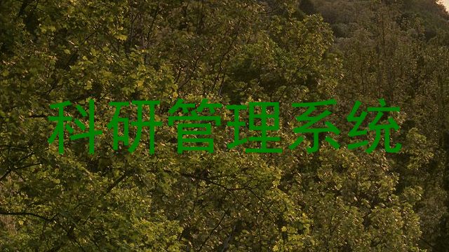 科研管理系统