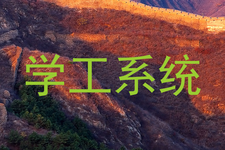 学工系统