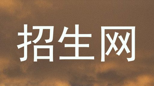 招生网