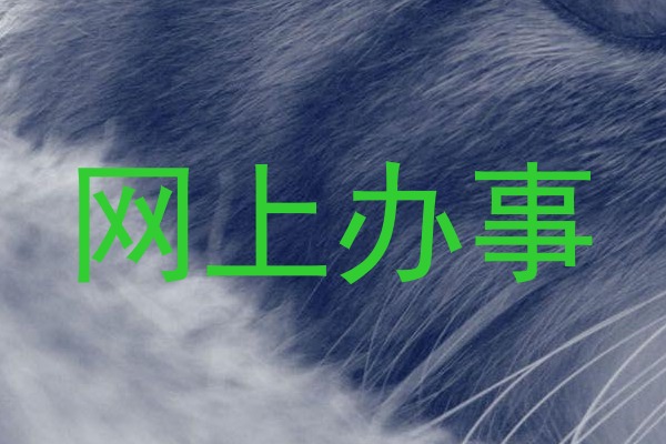 网上办事