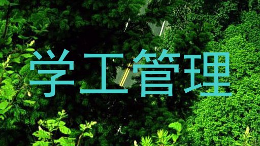 学工管理
