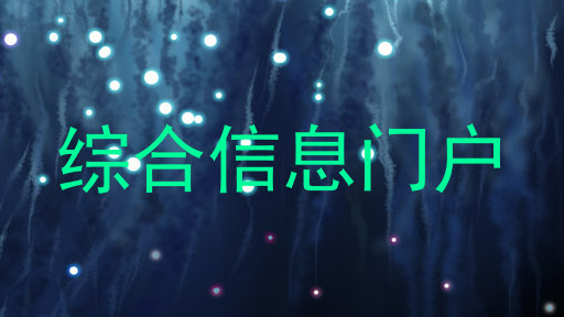 综合信息门户