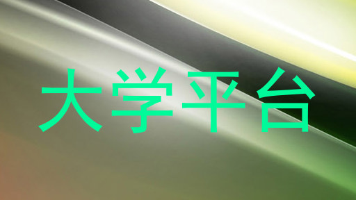 大学平台