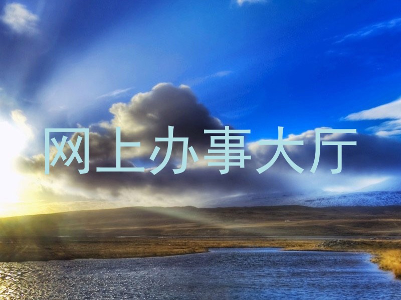 网上办事大厅