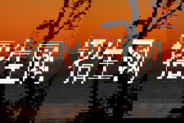 招生网