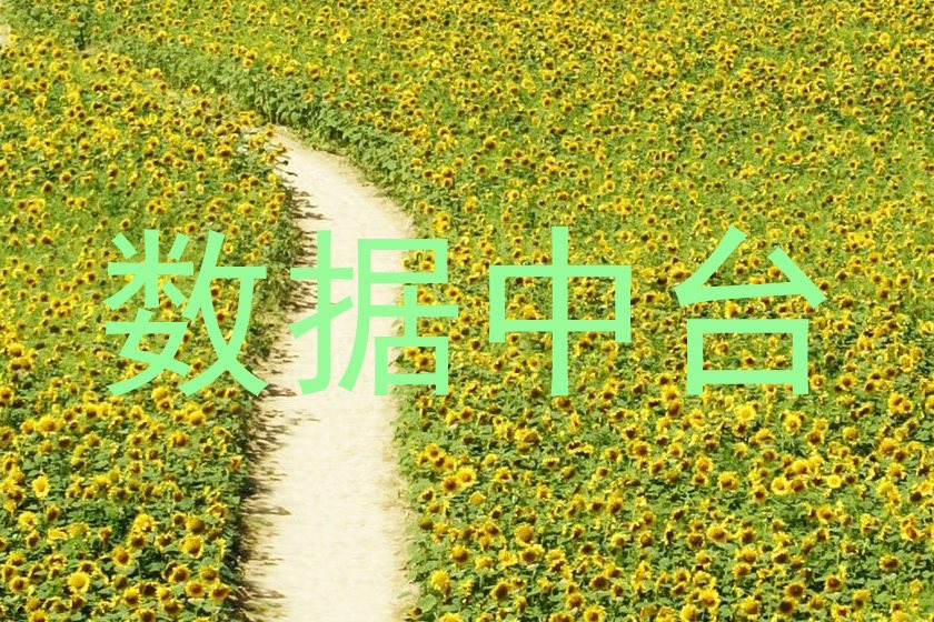 数据中台