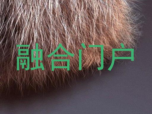 融合门户